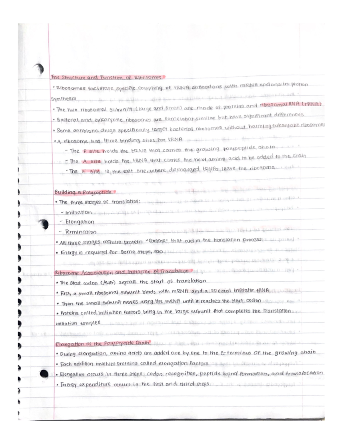 Biology 1 - Gene Expression Part 3 - BIO 1134 - Studocu