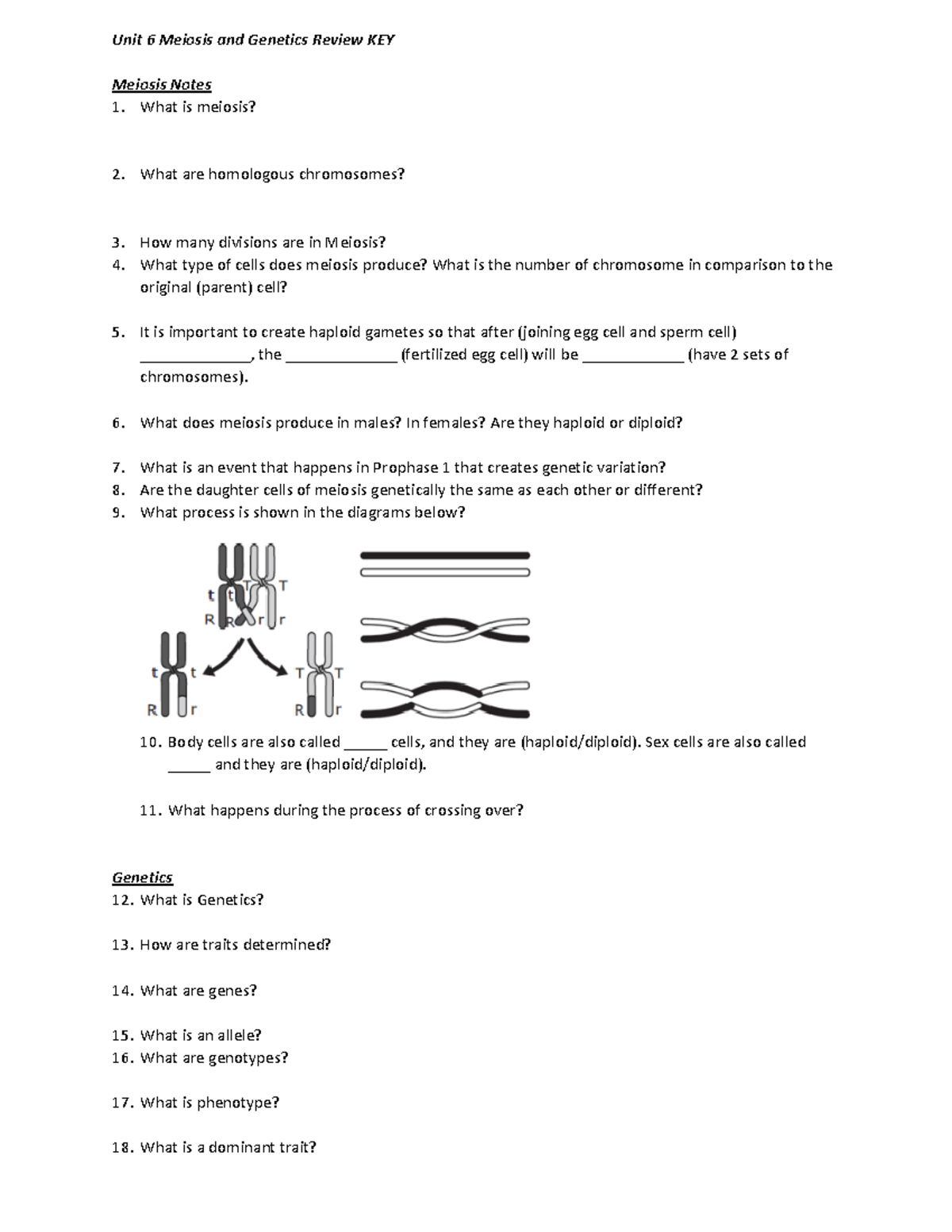 Unit+6+Review+KEY+20222023 Unit 6 Meiosis and Review KEY