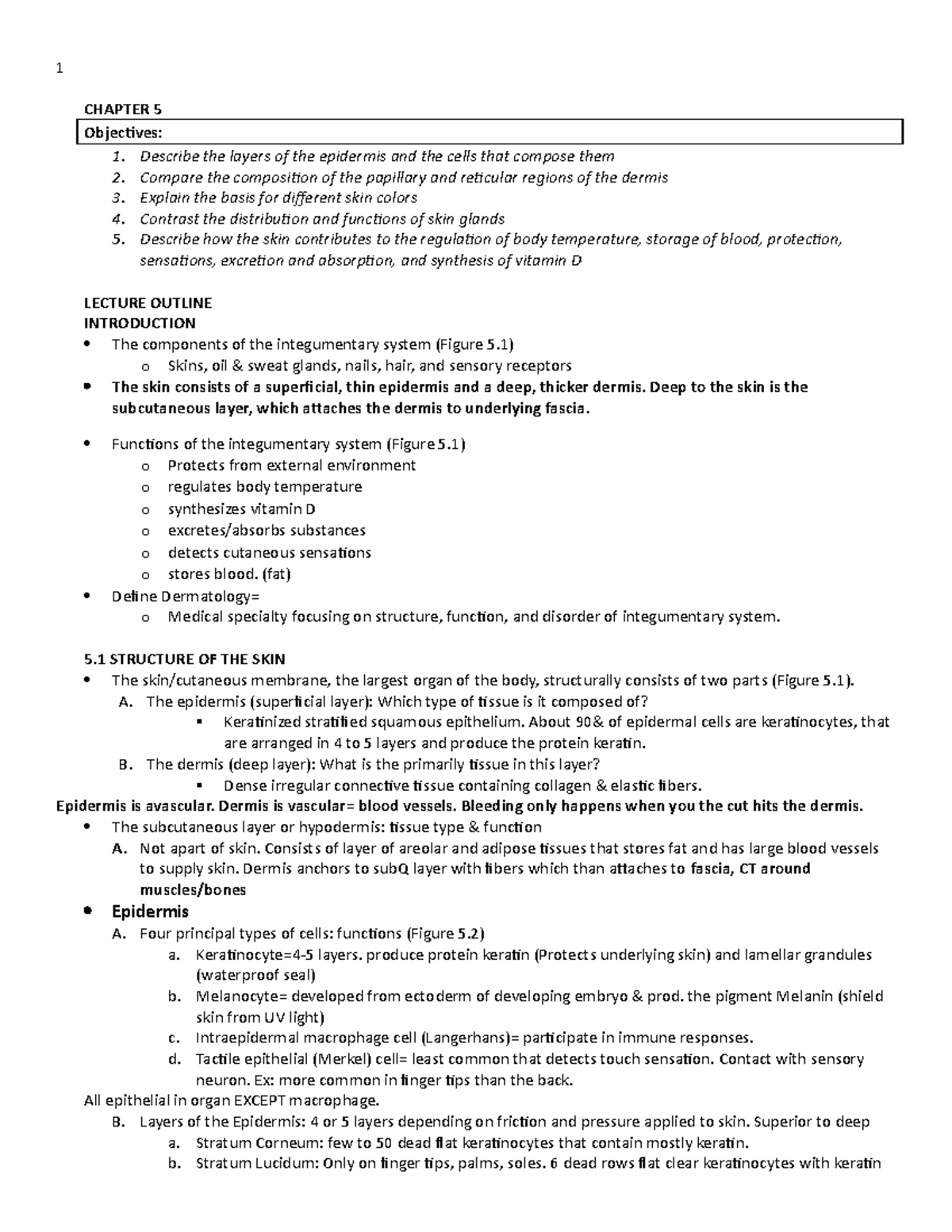 A&P Exam 2-ch05 Integumentary System - 1 CHAPTER 5 Objectives: 1 ...