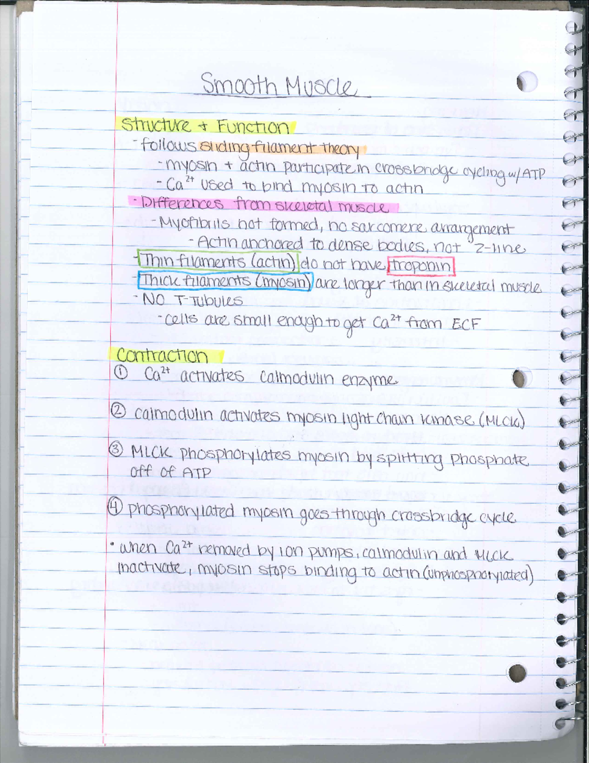 Bio 251 Smooth Muscle Lab Notes - Biology 251 - Studocu