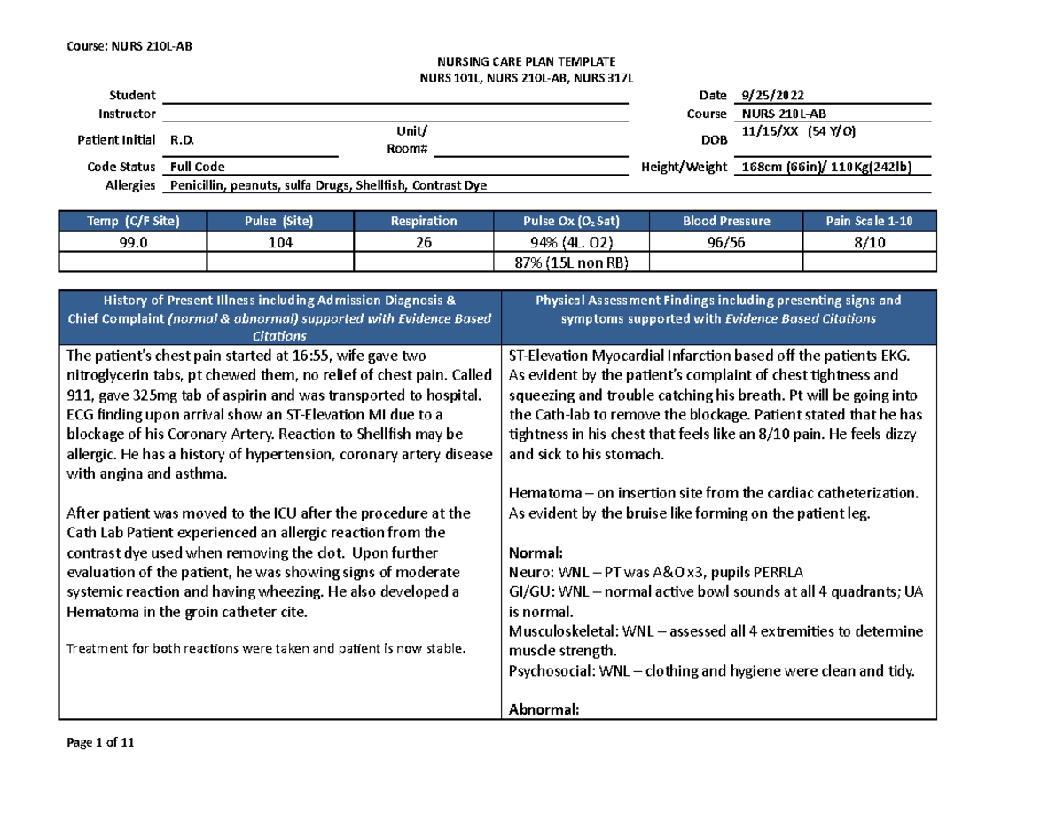 Nursing Care Plan - NURSING CARE PLAN TEMPLATE NURS 101L, NURS 210L-AB ...