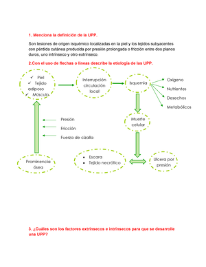 Instrumento úlceras por presión y cuestionario - 1. Menciona la definición  de la UPP. Son lesiones - Studocu