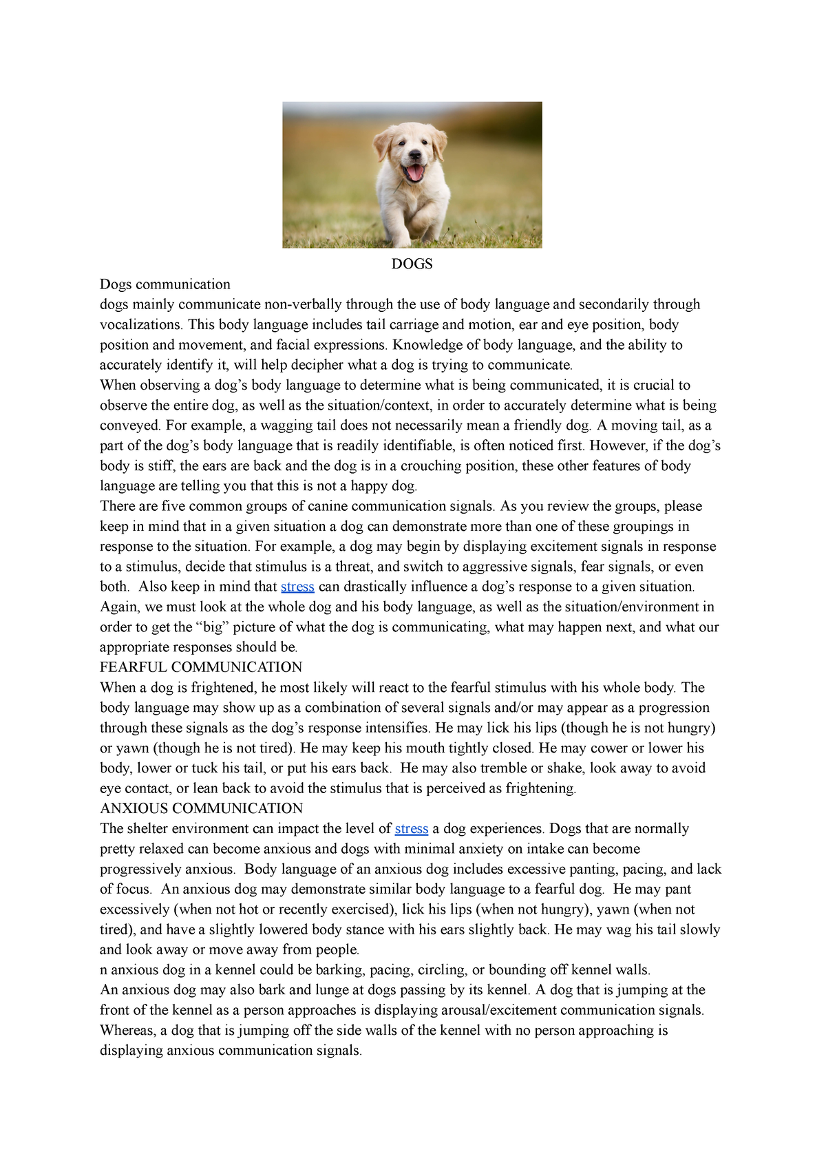 Animals Communicaton - Animal Communication - DOGS Dogs communication ...