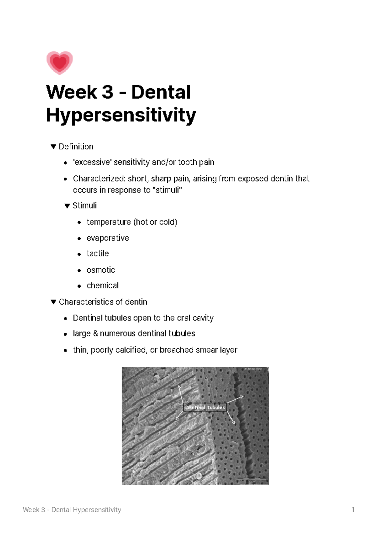 Week 3 Dental Hypersensitivity 💗 Week 3 Dental Hypersensitivity