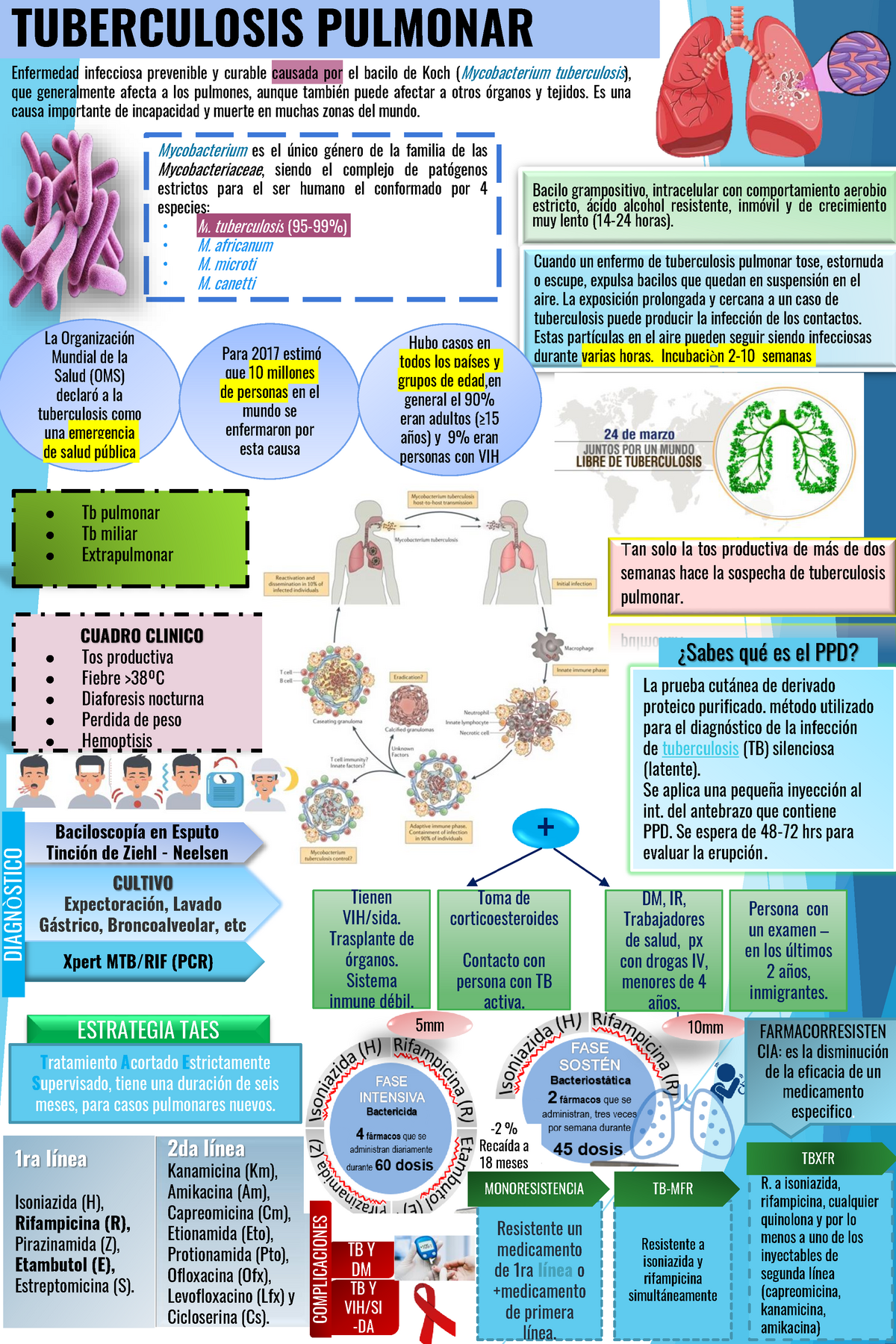 Tuberculosis Pulmonar Infografia Terminada Y Culminada 2 Recaída A