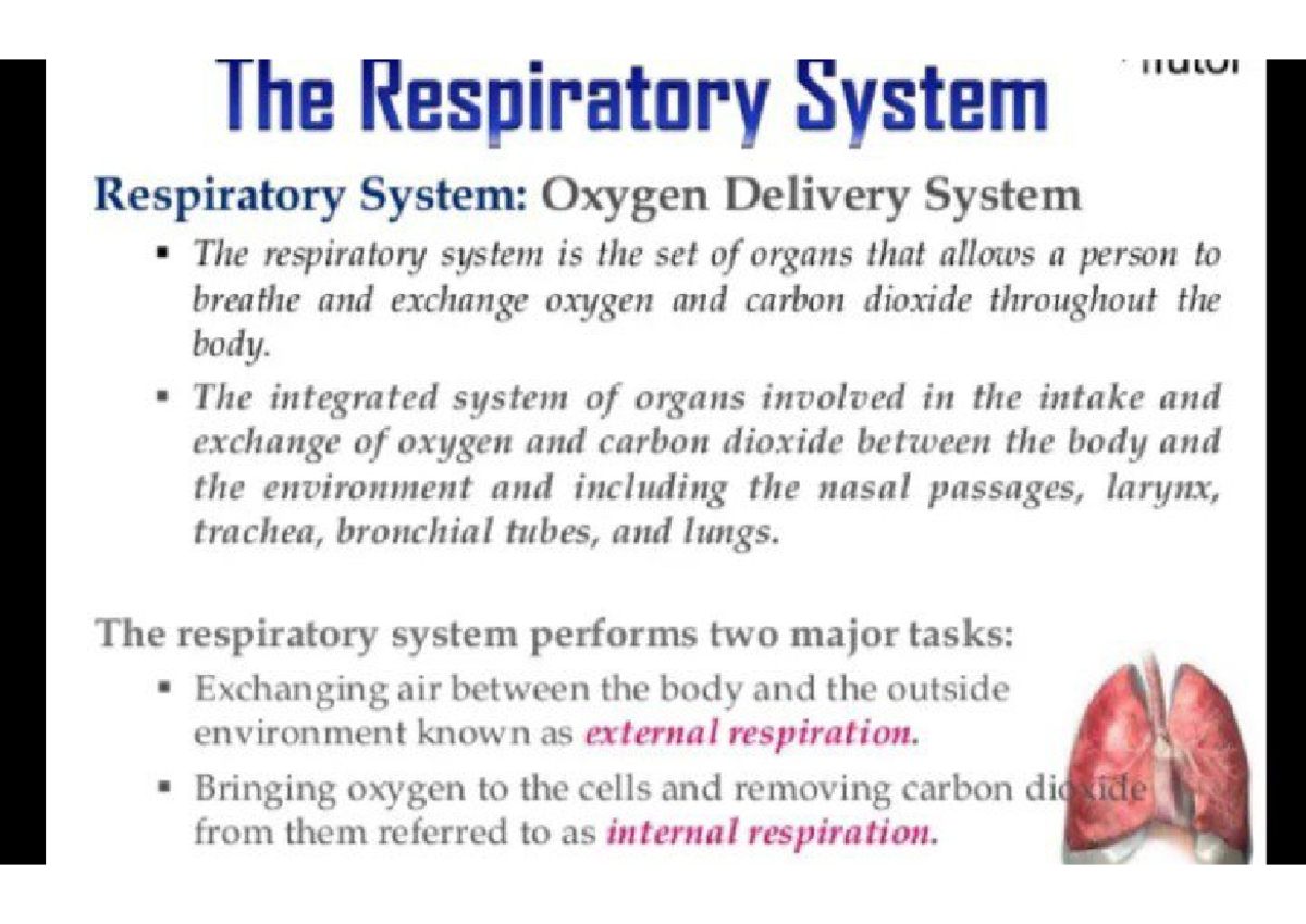 Notes for practicing about respiratory system - BSc NURSING - Studocu