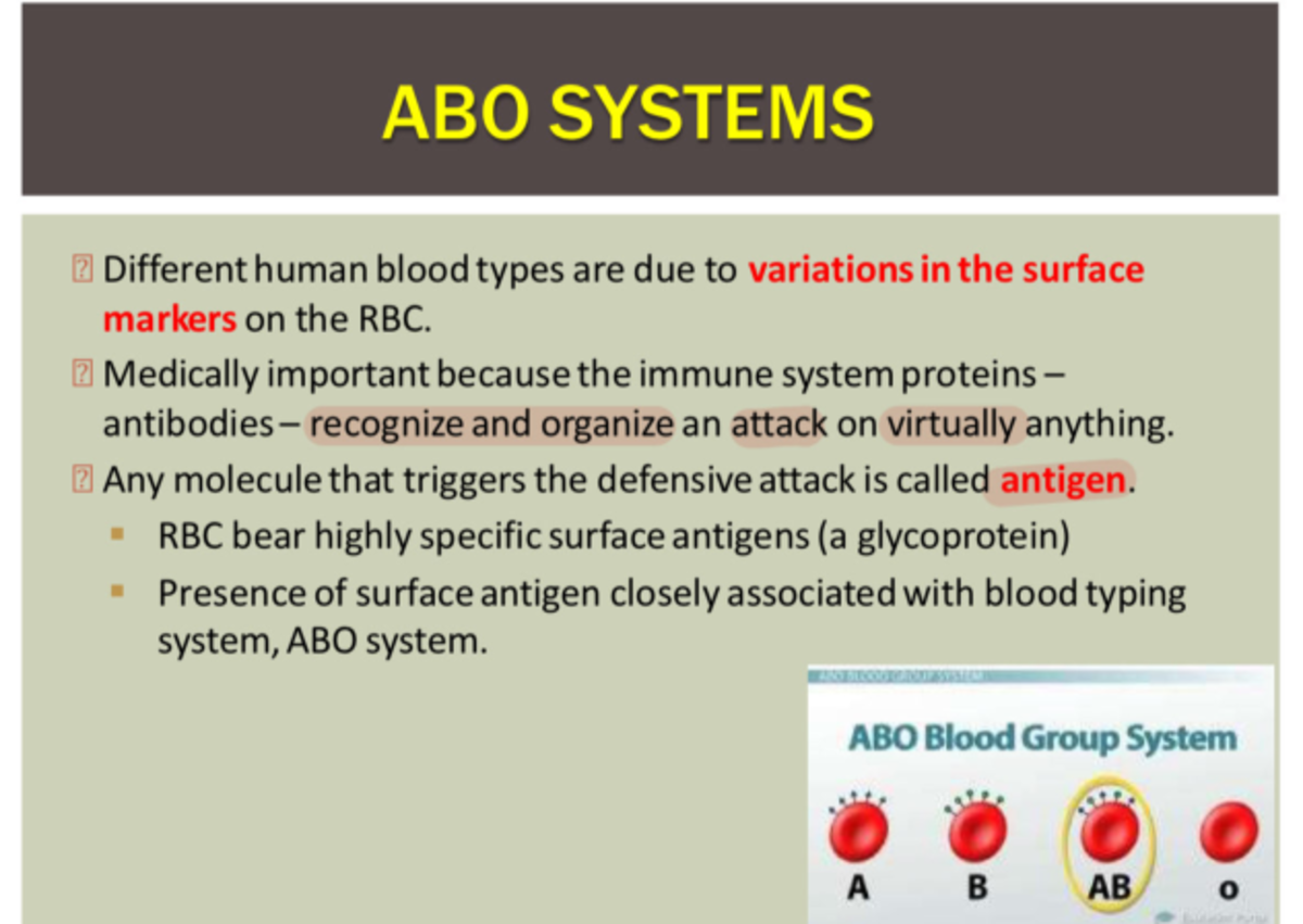 bio310 chapter 1 -4 - ABO SYSTEMS Different human blood types are due ...