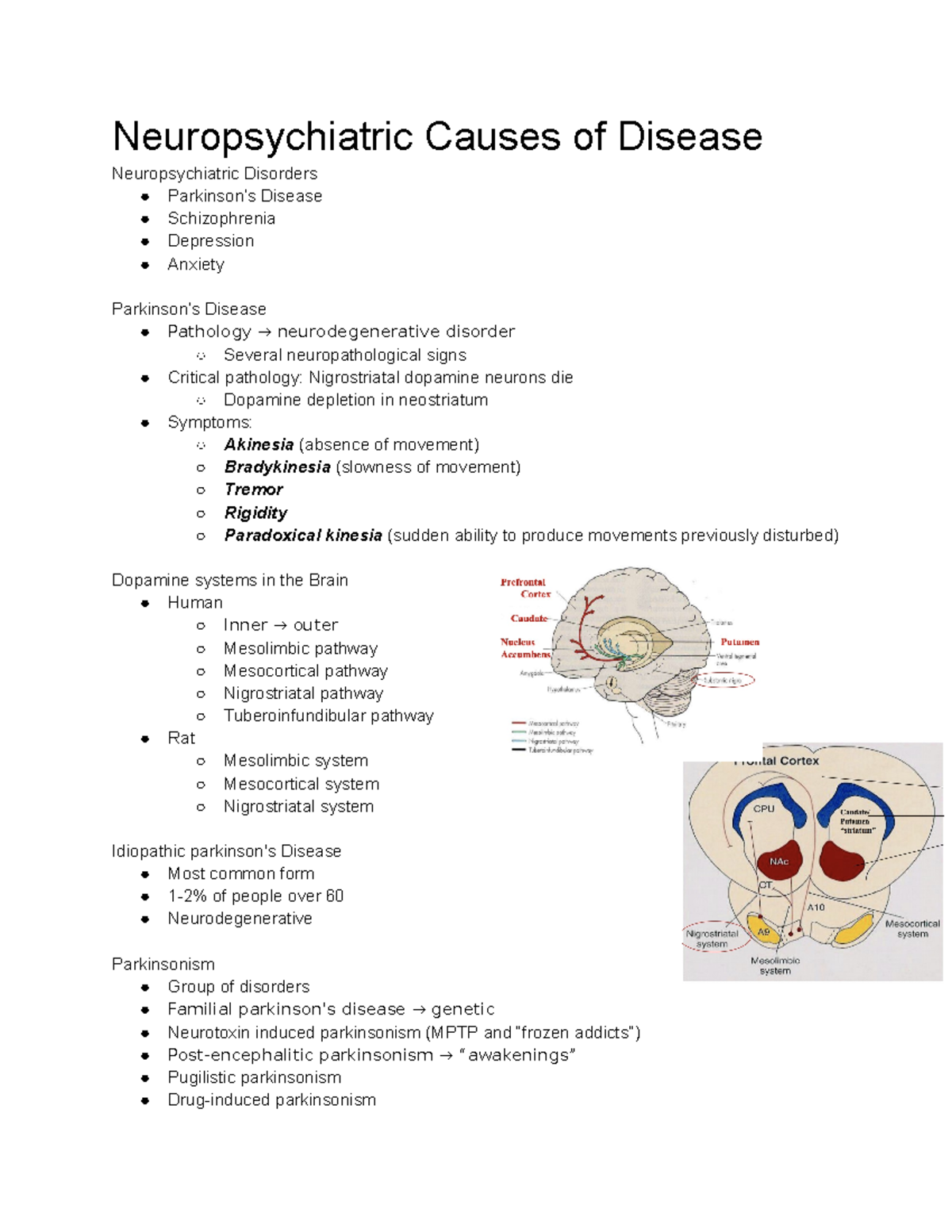 Neuropsychiatric Causes Of Disease - Neuropsychiatric Causes Of Disease ...