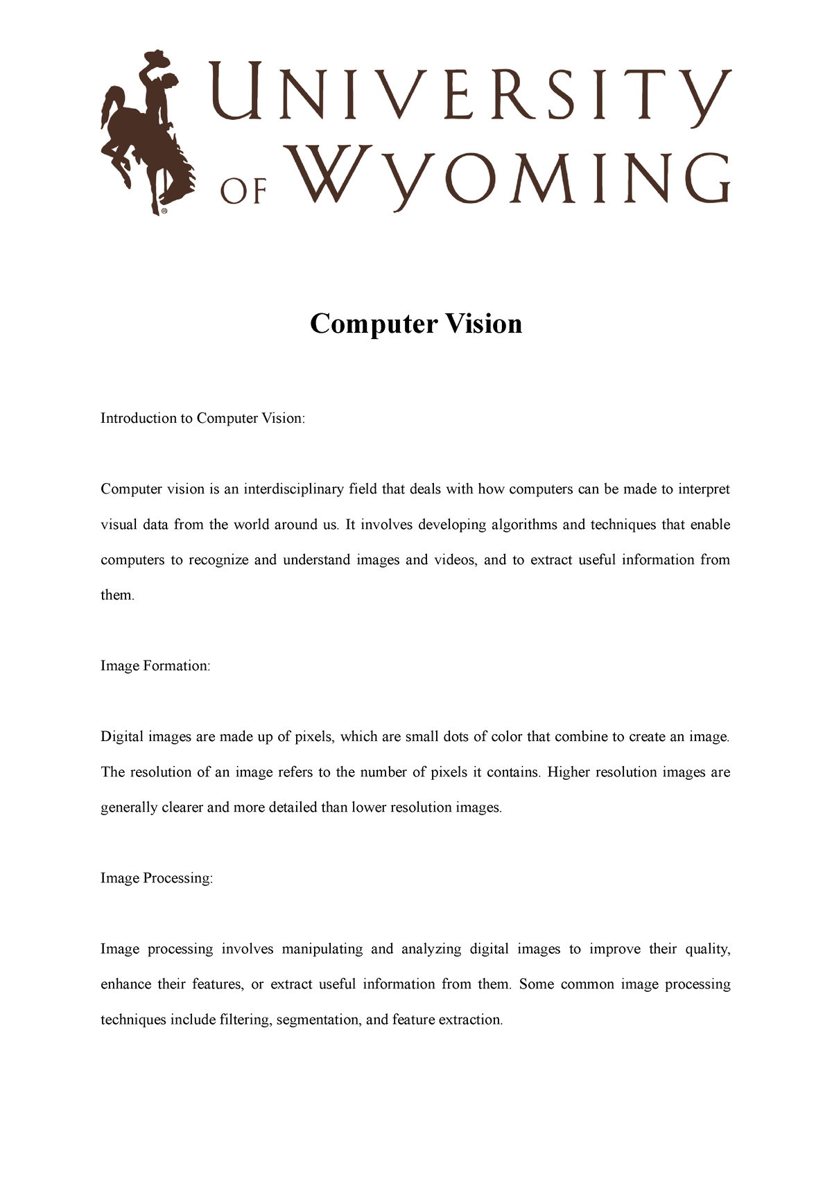 phd thesis on computer vision