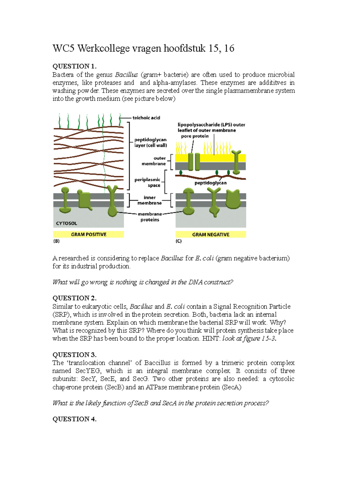 Cellulaire Biochemie WC5 Werkcollege Vragen 15 En 16 WC5 Werkcollege Vragen Hoofdstuk 15 16