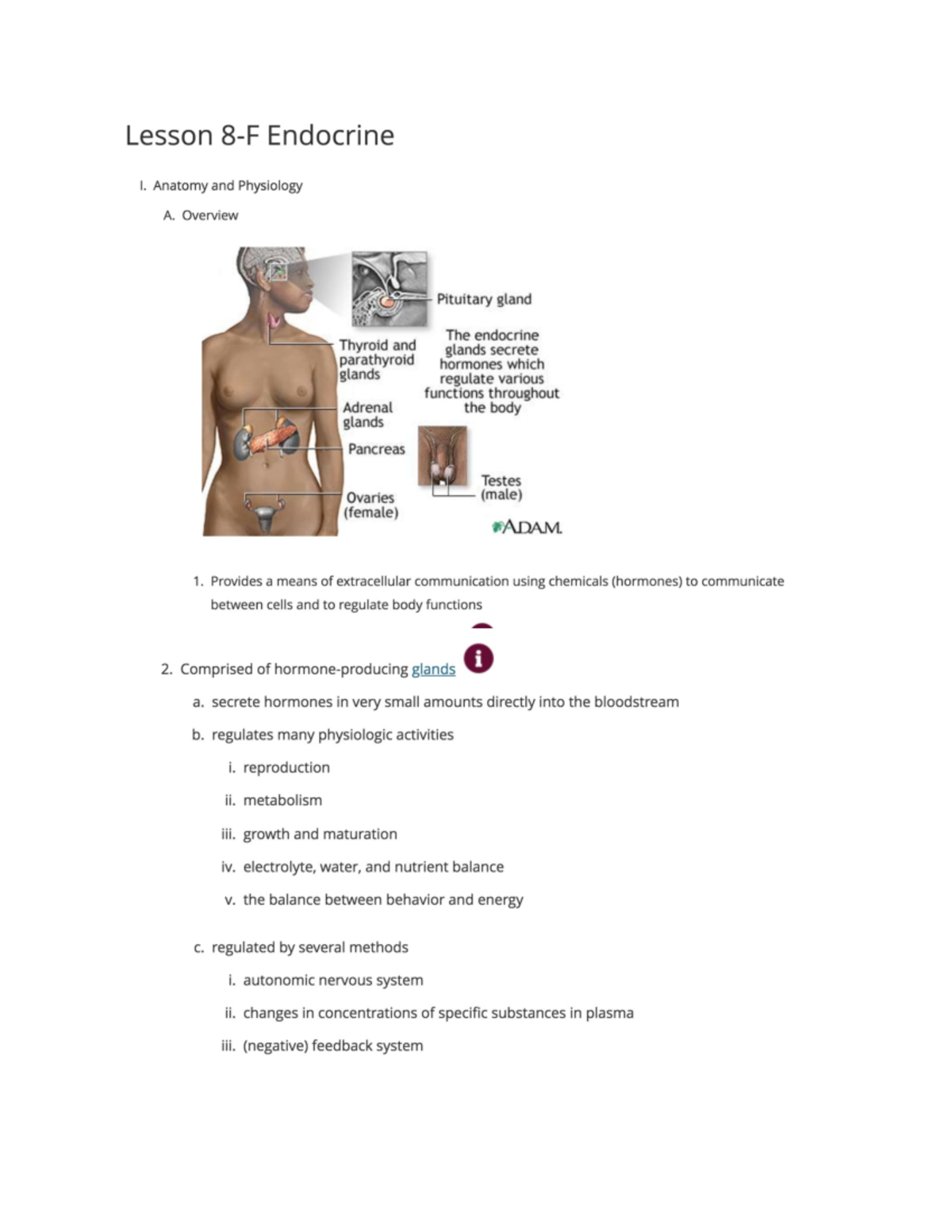 Lesson 8-F, the endocrine system - NURS 220 - Studocu