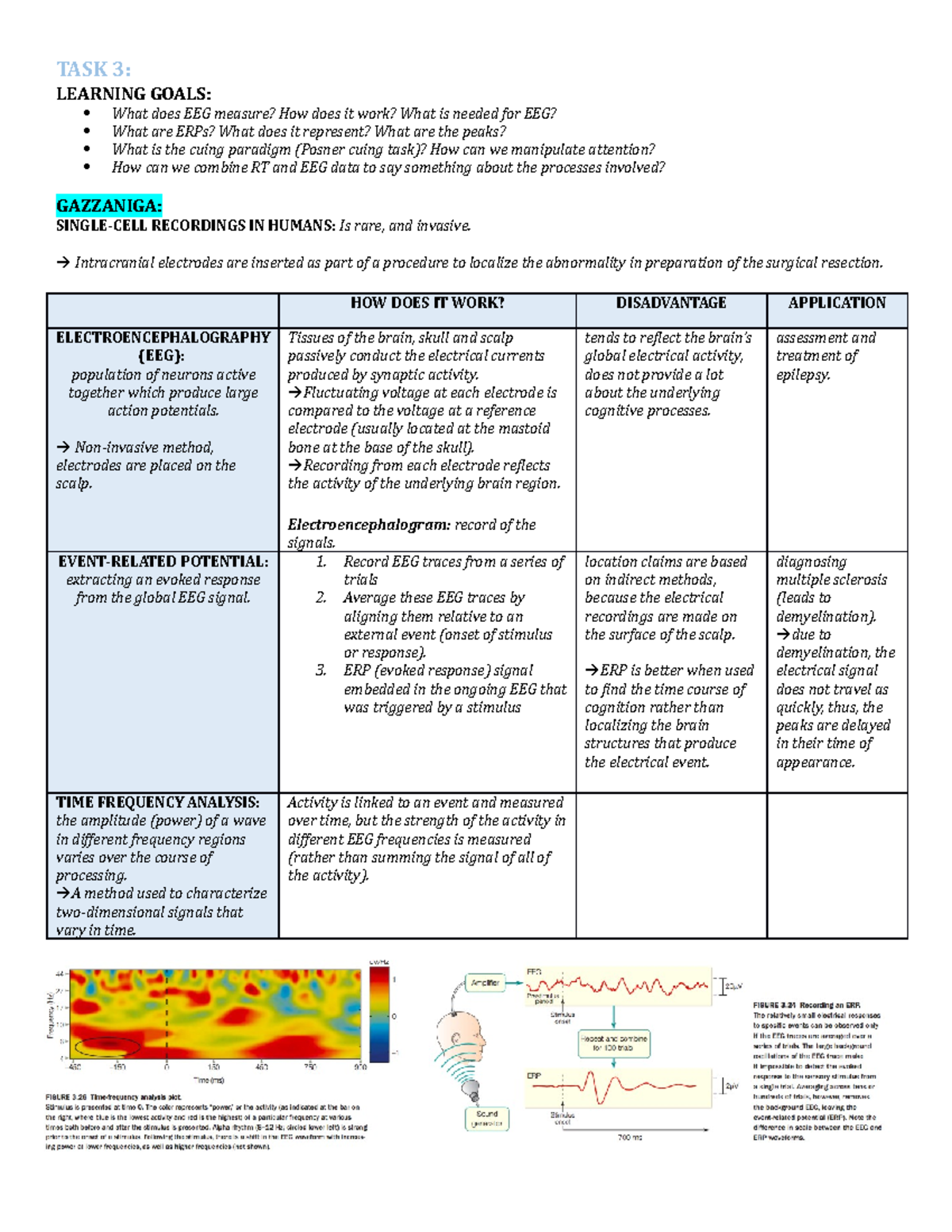 TASK 3 - ALL Literature - TASK 3: LEARNING GOALS: What does EEG measure ...