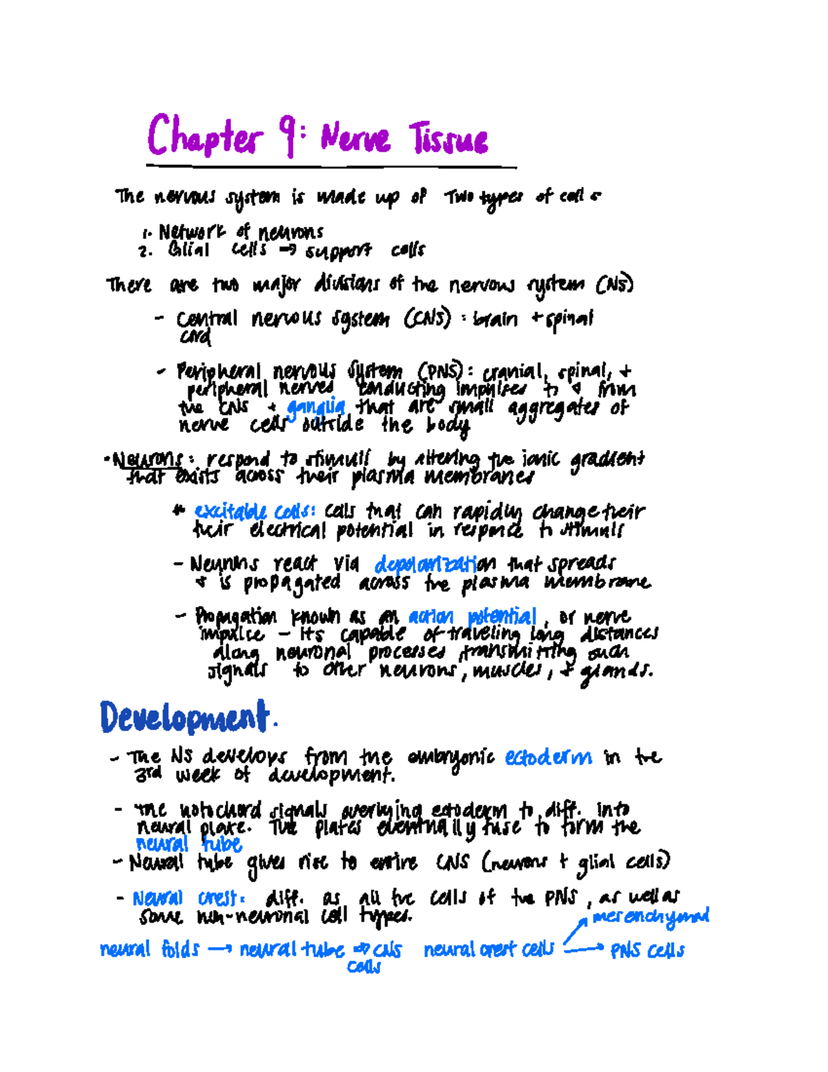 Chapter 9 pp 161-187 - Chapter 9: Nerve Tissue The nervous system is ...