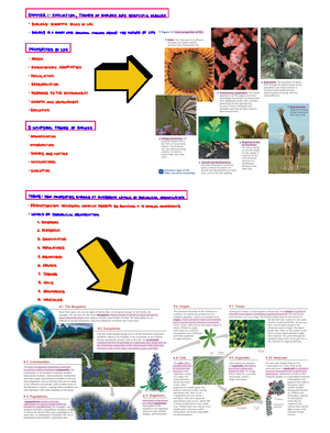Chapter 26 Phylogeny and the Tree of Life - Chapter 26 pityloaenyAND ...