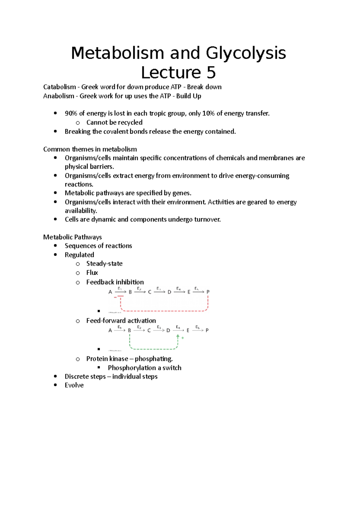 Metabolism And Glycolysis Lecture 5 - Metabolism And Glycolysis Lecture 