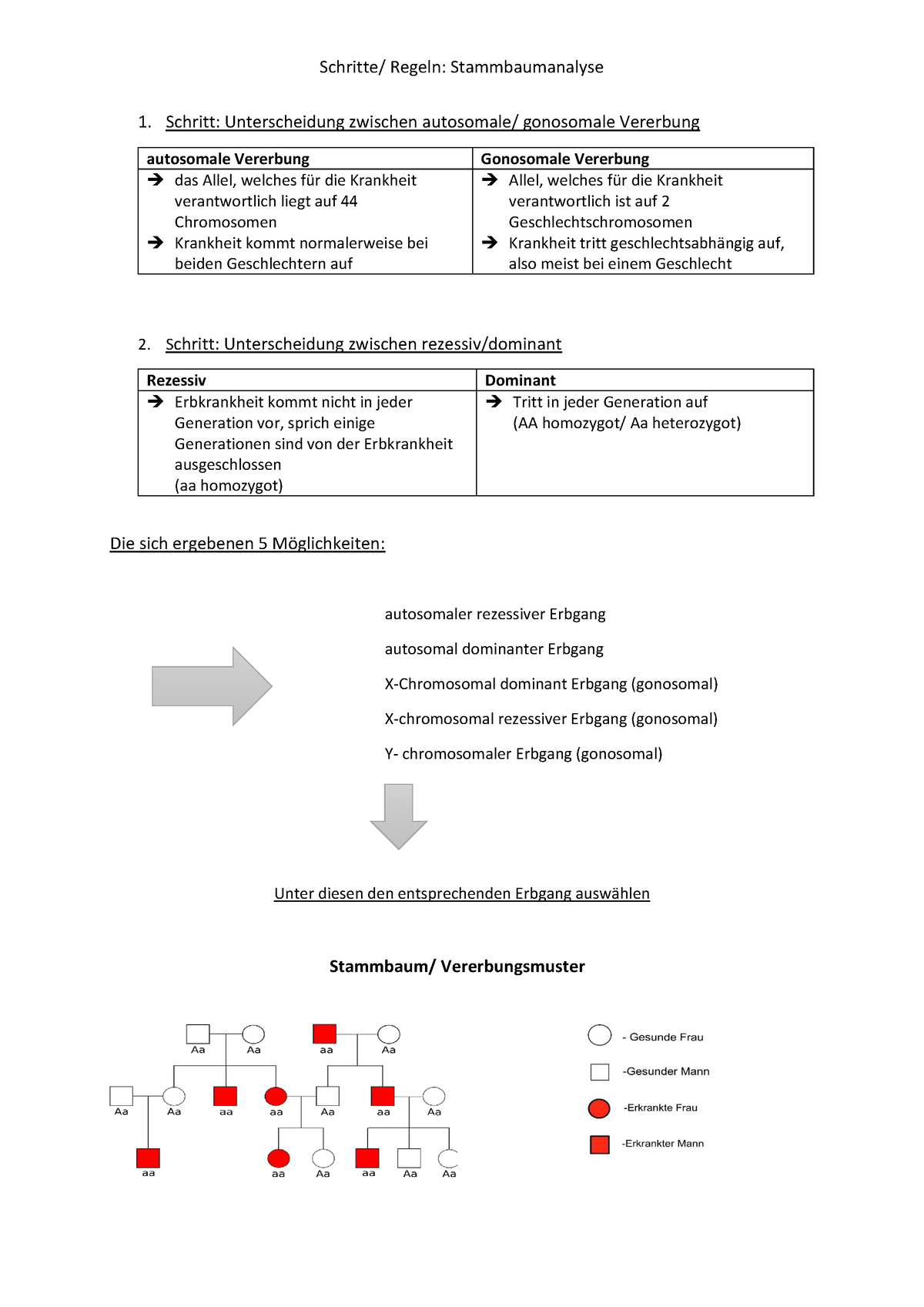 Stammbaumanalyse - Wintersemester - Schritte/ Regeln: Stammbaumanalyse ...