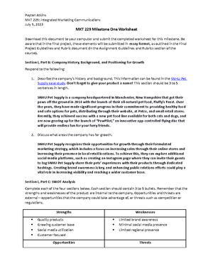 MKT 229 Module 3 Journal - Payton Atkins Southern New Hampshire ...