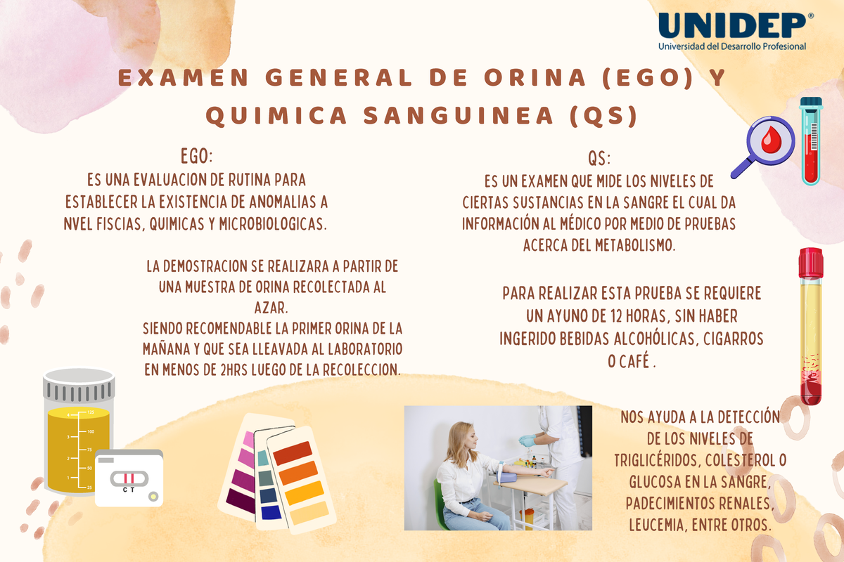 Carte L QS y EGO - EXAMEN GENERAL DE ORINA (EGO) Y QUIMICA SANGUINEA