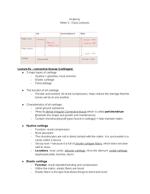 Anatomy Week 2 Pre-lab & lab Lectures - Anatomy Week 2 - Pre-lab & lab ...