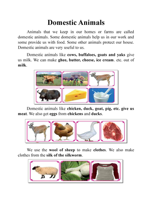 Domestic Animals - Domestic Animals Animals that we keep in our homes or  farms are called domestic - Studocu