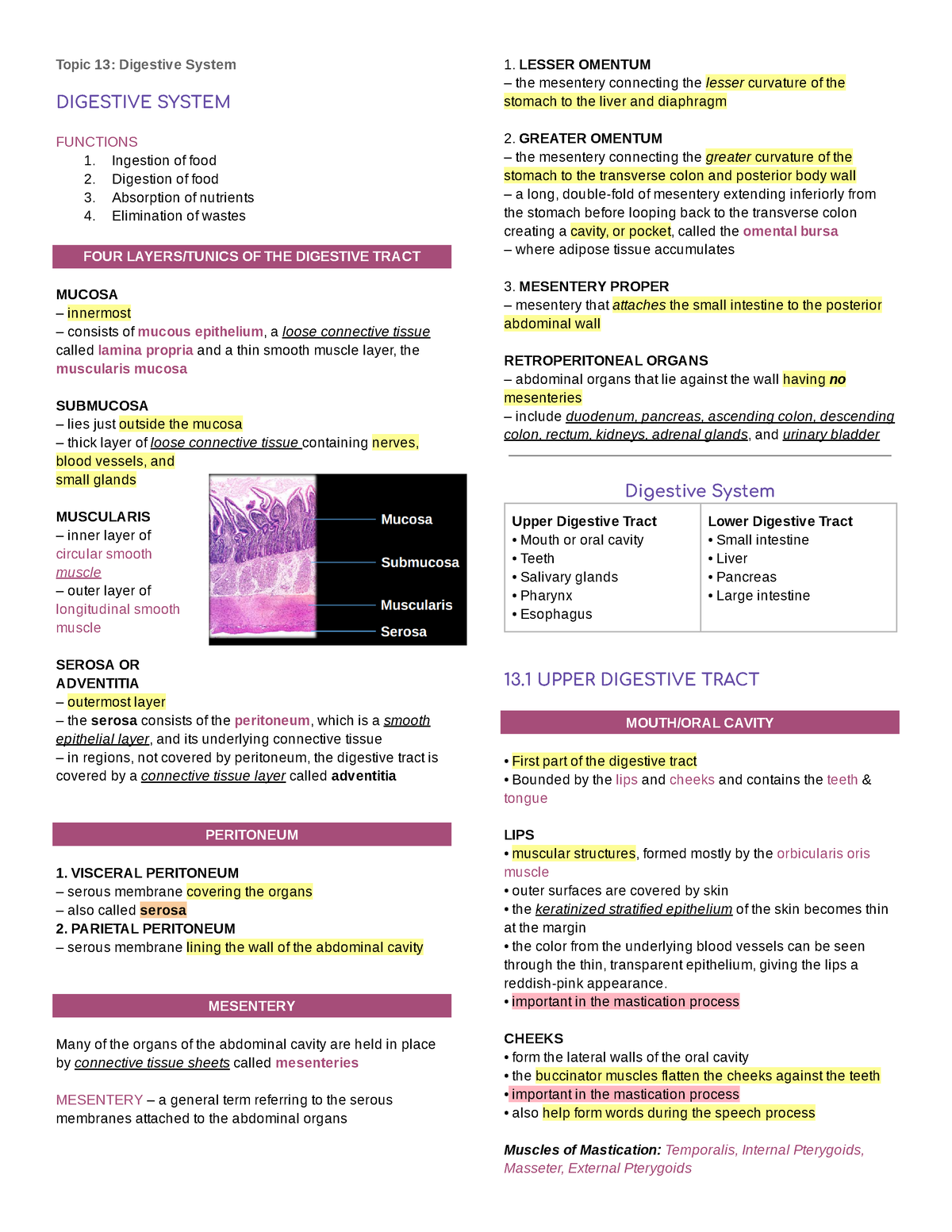 anaphy-digestive-system-topic-13-digestive-system-digestive-system