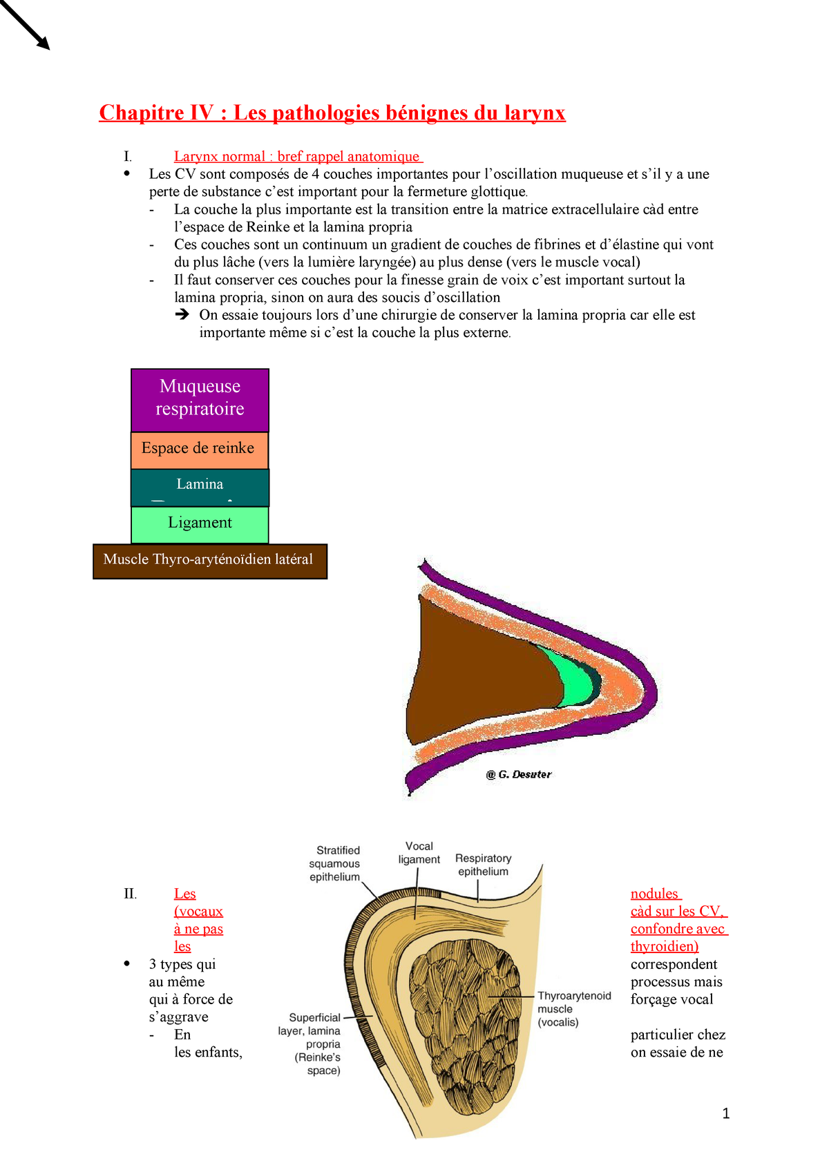 Chapitre 4 Patholgies Begnines Du Larynx Studocu