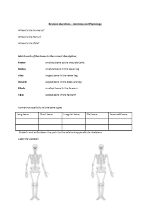 Basketball-risk-assessment - Funday Entertainment Limited RISK ...