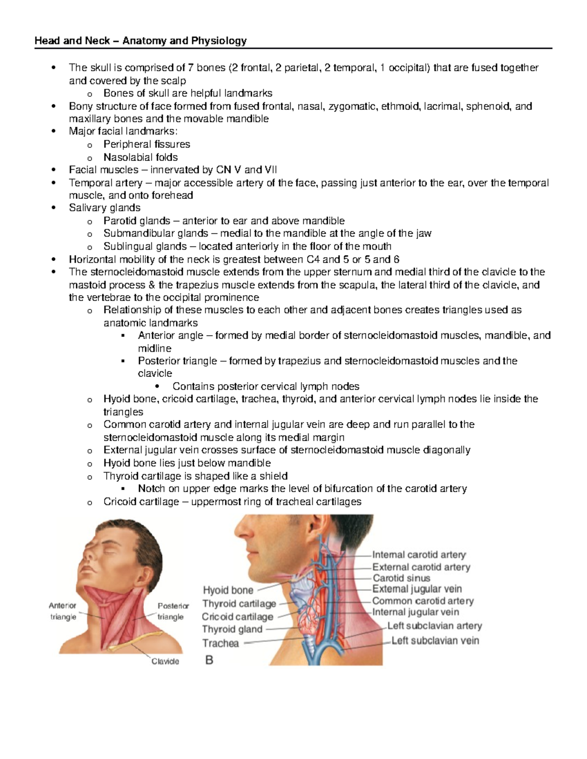 Head And Neck Head And Neck Assessment Head And Neck Anatomy And Physiology The Skull Is 6795