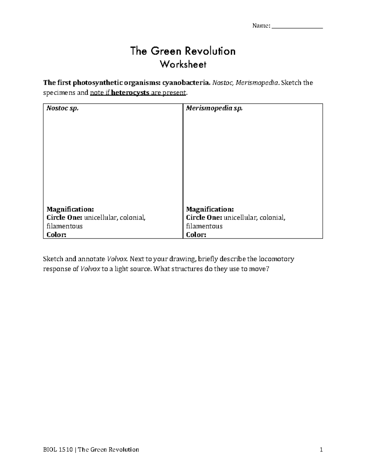 green-revolution-worksheet-name-the-green