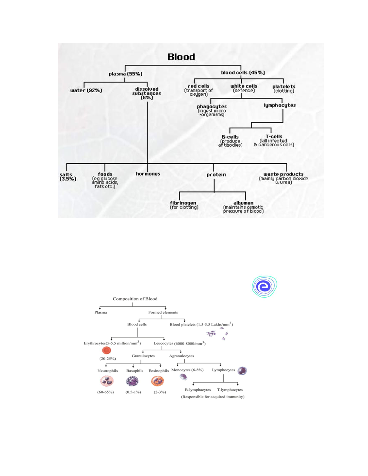 blood-is-a-fluid-connective-tissue-made-up-of-combination-of-plasma-and