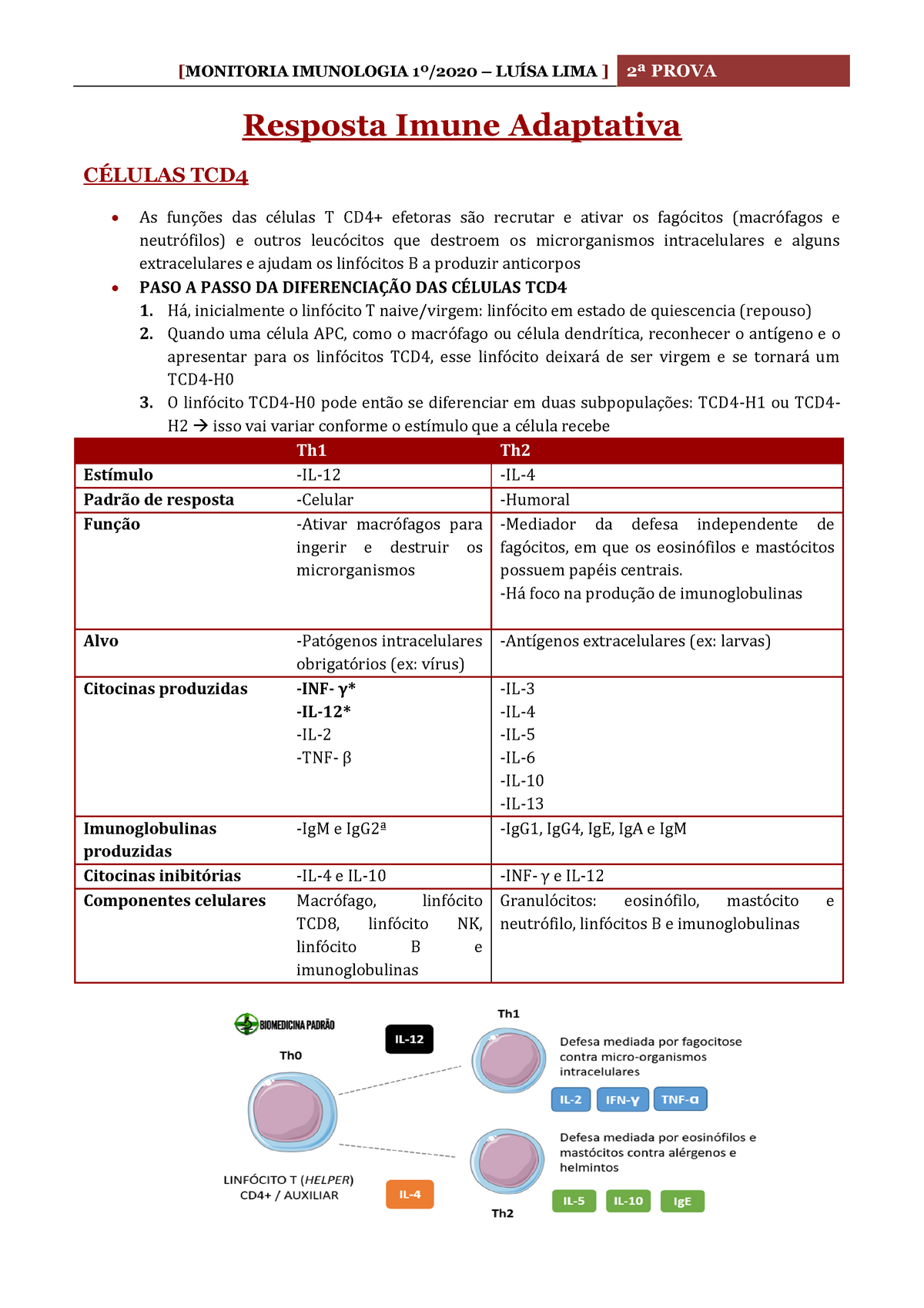 Resumo Resposta Imune Adaptativa - 2ª Prova - Resposta Imune Adaptativa ...