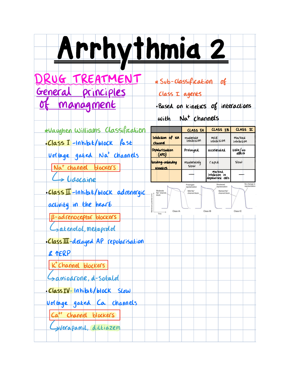 Terp  Class Notes