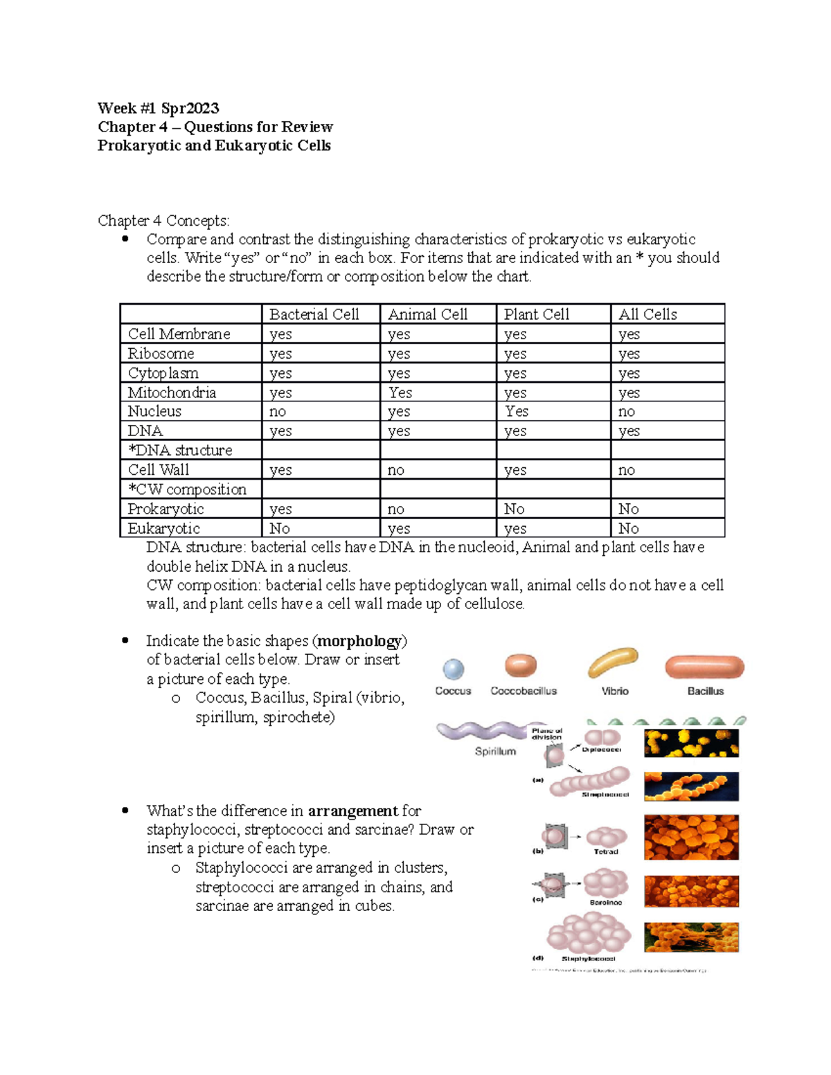 Bio 226 Week 1 Ch 4 Prok Cells Review Spr2023 - Week #1 Spr Chapter 4 ...