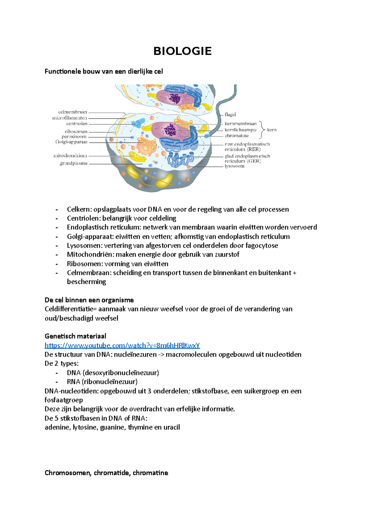 Natuurwetenschappen - BIOLOGIE Functionele bouw van een dierlijke cel ...