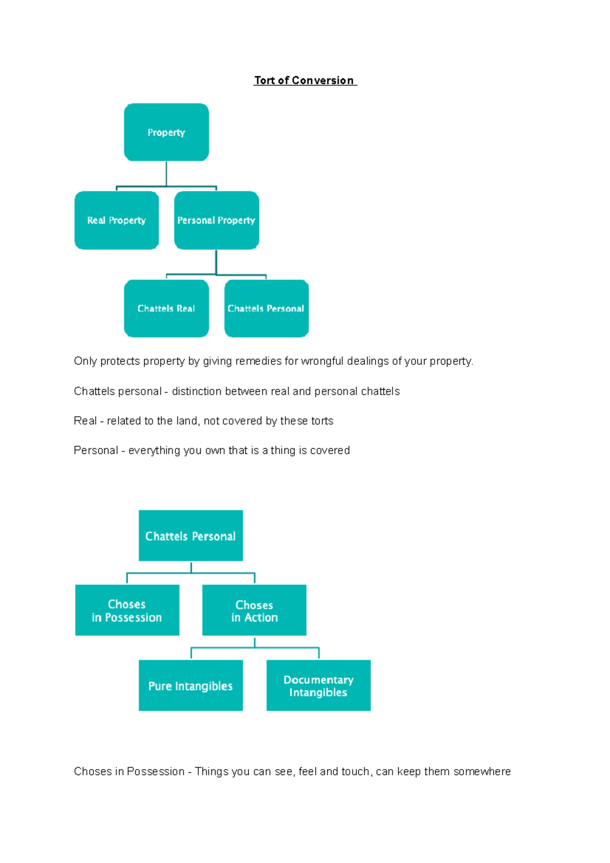 Obs Personal Property Torts Tort of Conversion Only protects