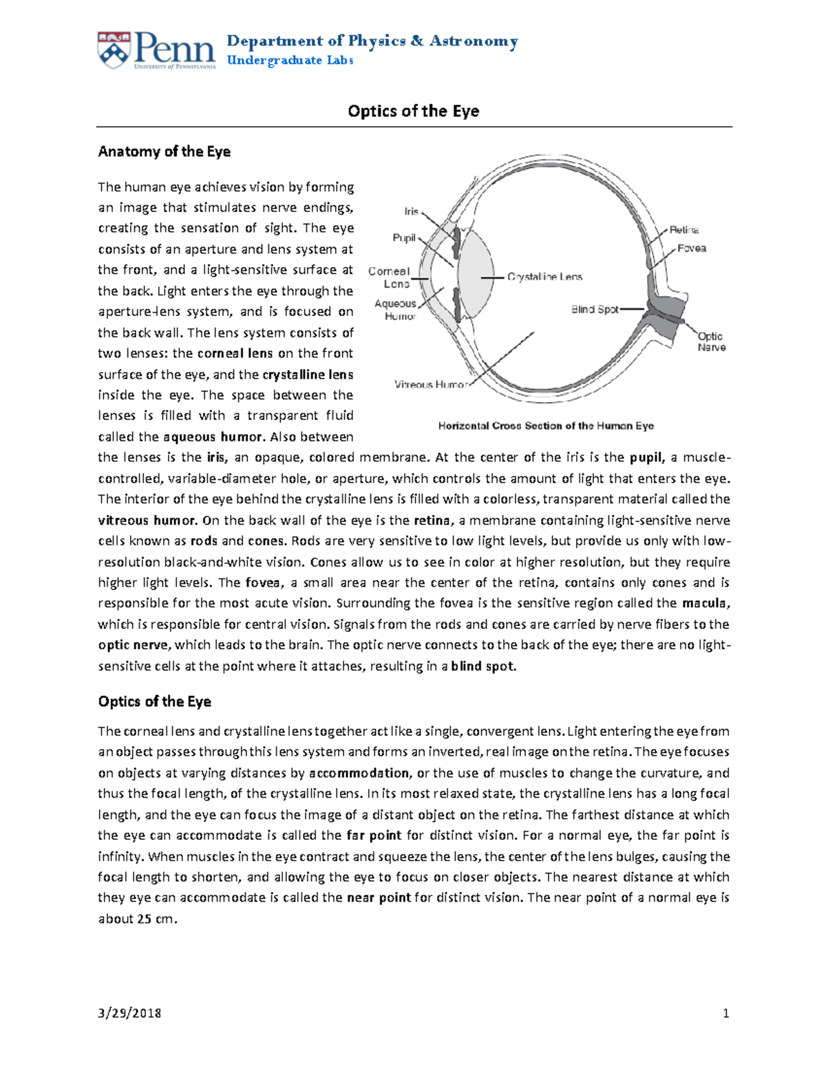 Optics Of Eye - Undergraduate Labs Optics Of The Eye Anatomy Of The Eye ...