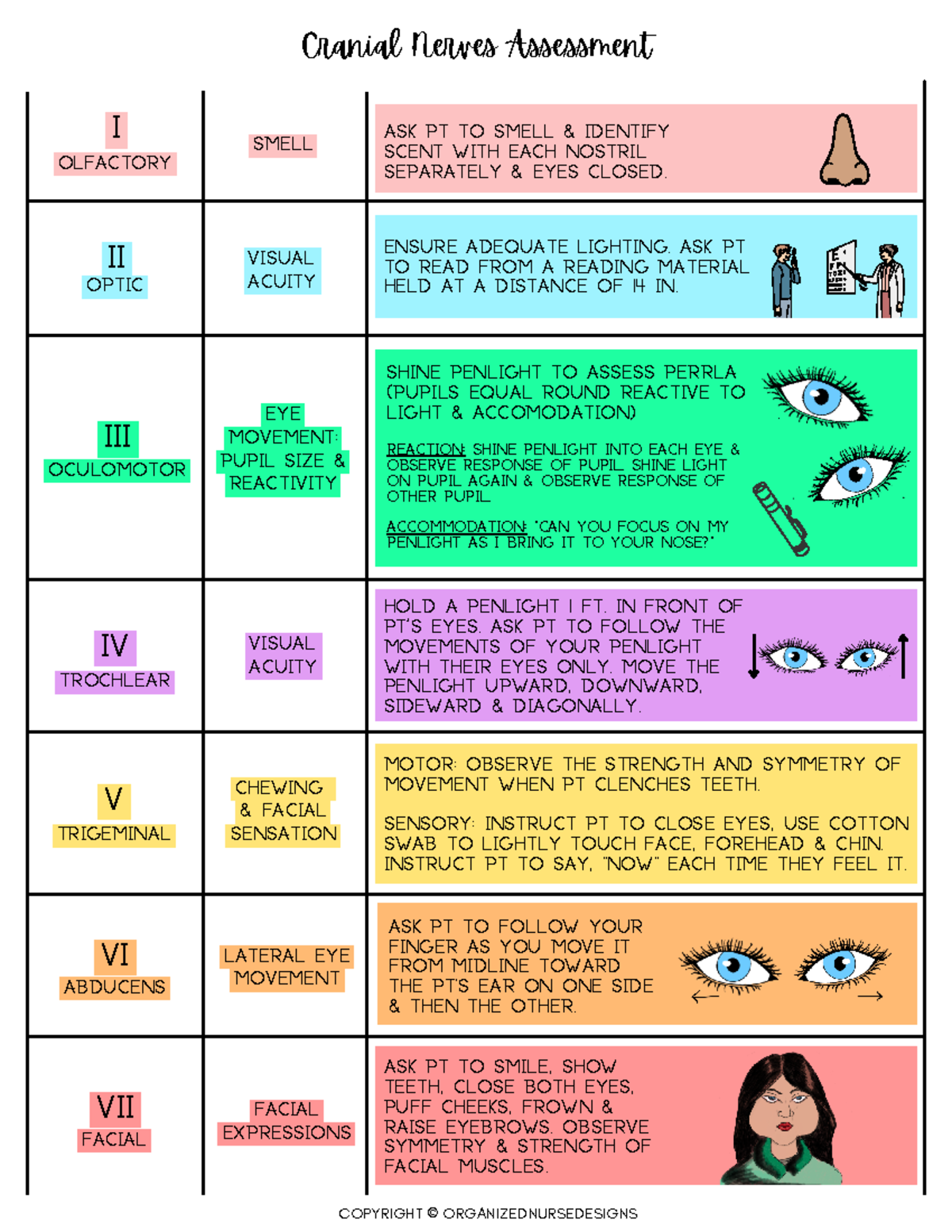 Cranial Nerves Assessment - Hold a penlight 1 ft. in front of pt's eyes ...