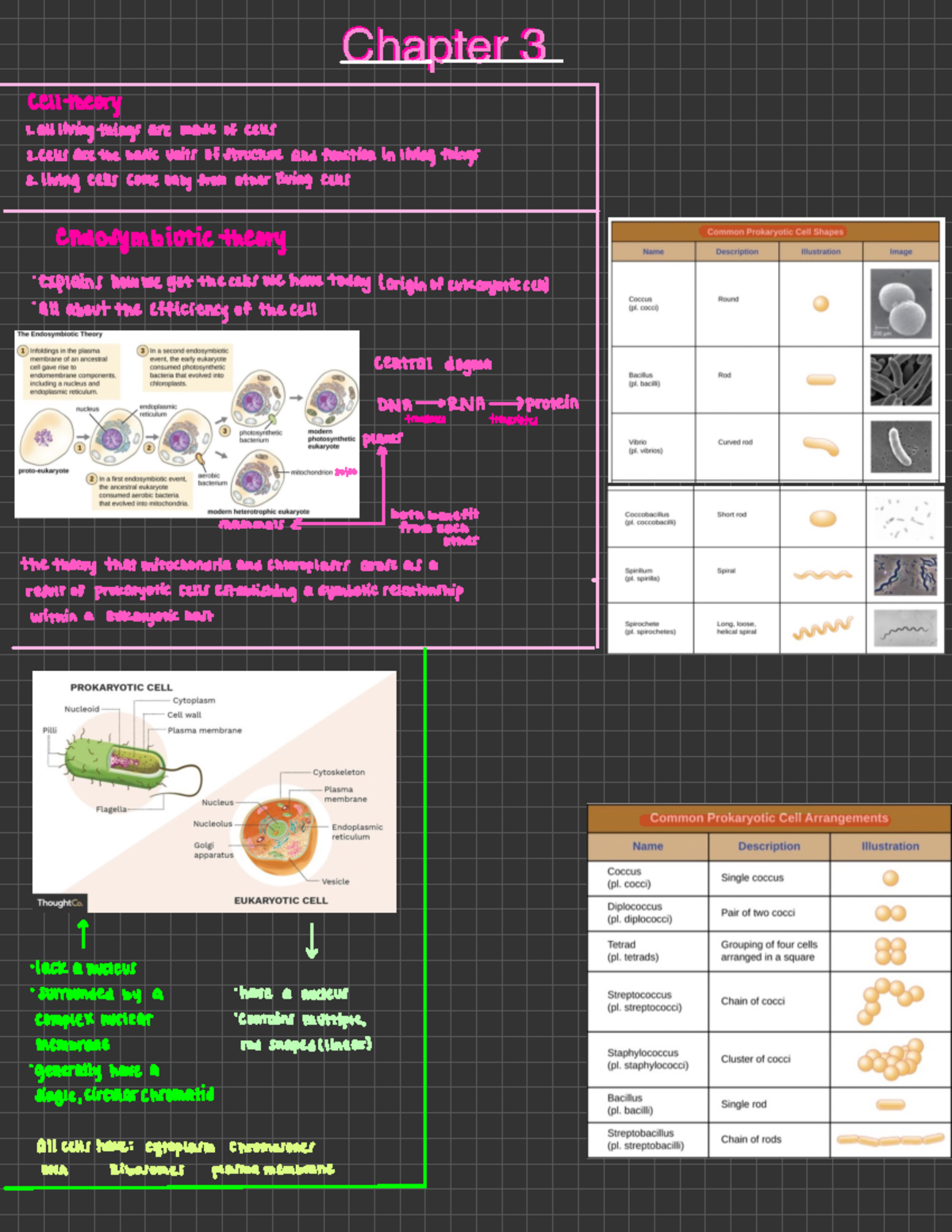 Chapter 3 The Cell - NOTES/LECTURE/STUDYGUIDE/CLASSWORK - Chapter ...