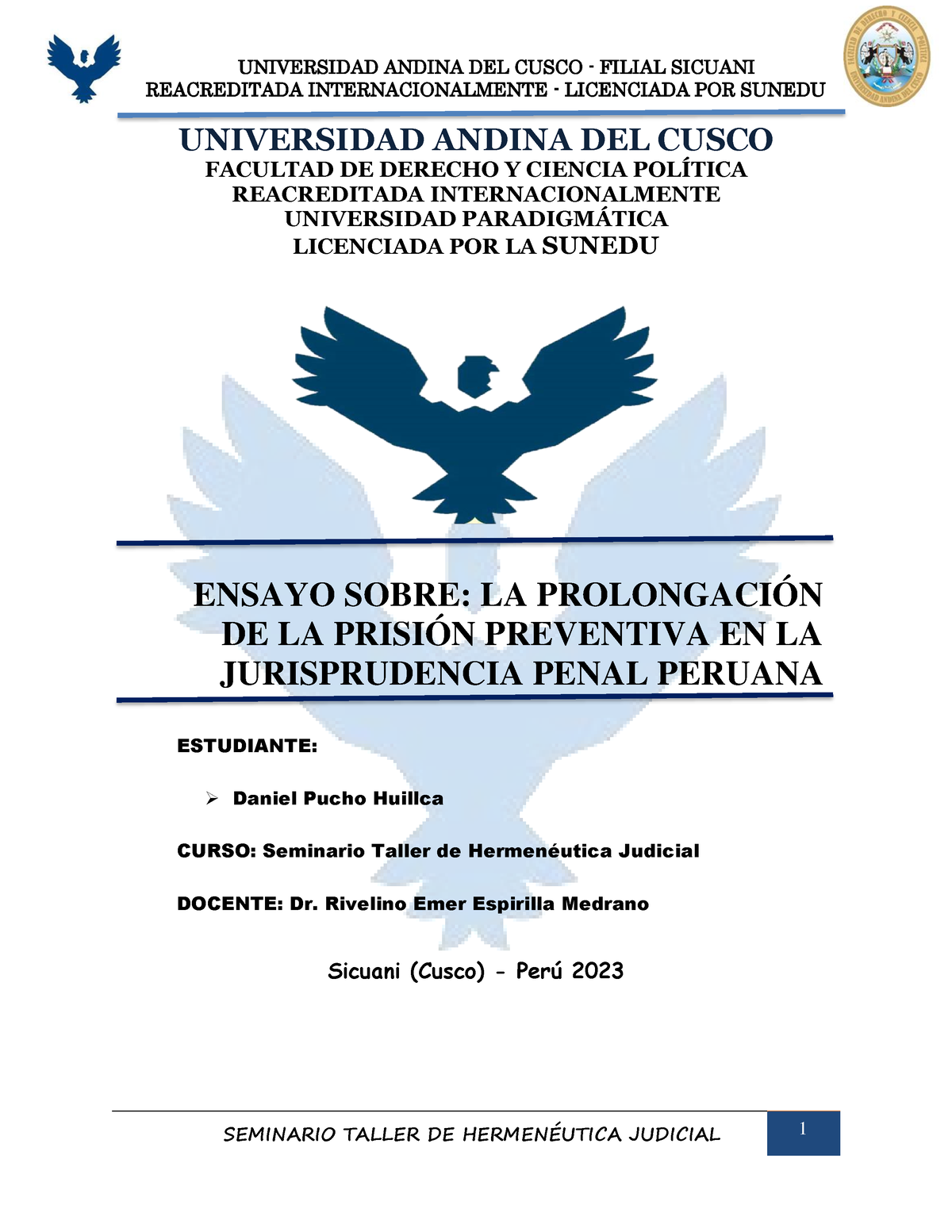 LA PROLONGACIÓN DE LA PRISIÓN PREVENTIVA EN LA JURISPRUDENCIA PENAL ...