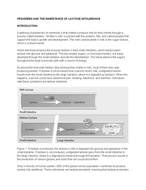 10e Management 1 Management 10e Robbins Chapter 1 Introduction