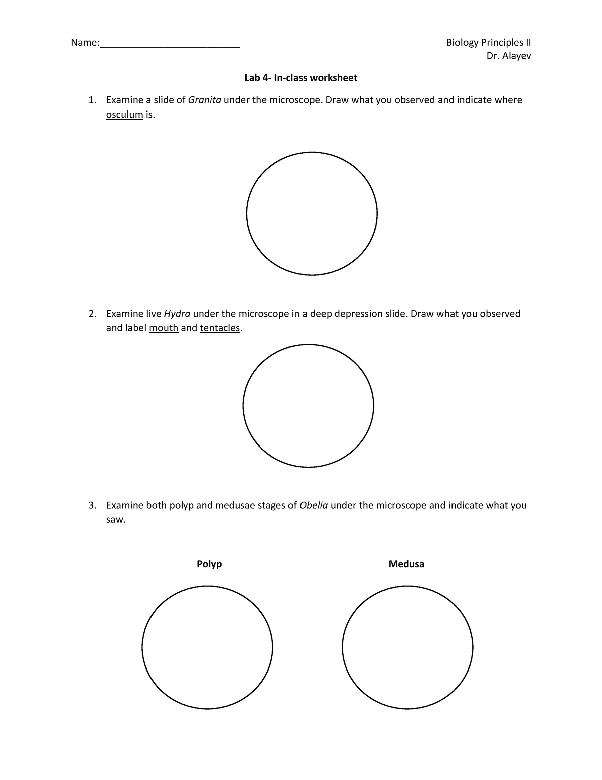 Lab 4- In class worksheet - Name:__________________________ Biology ...