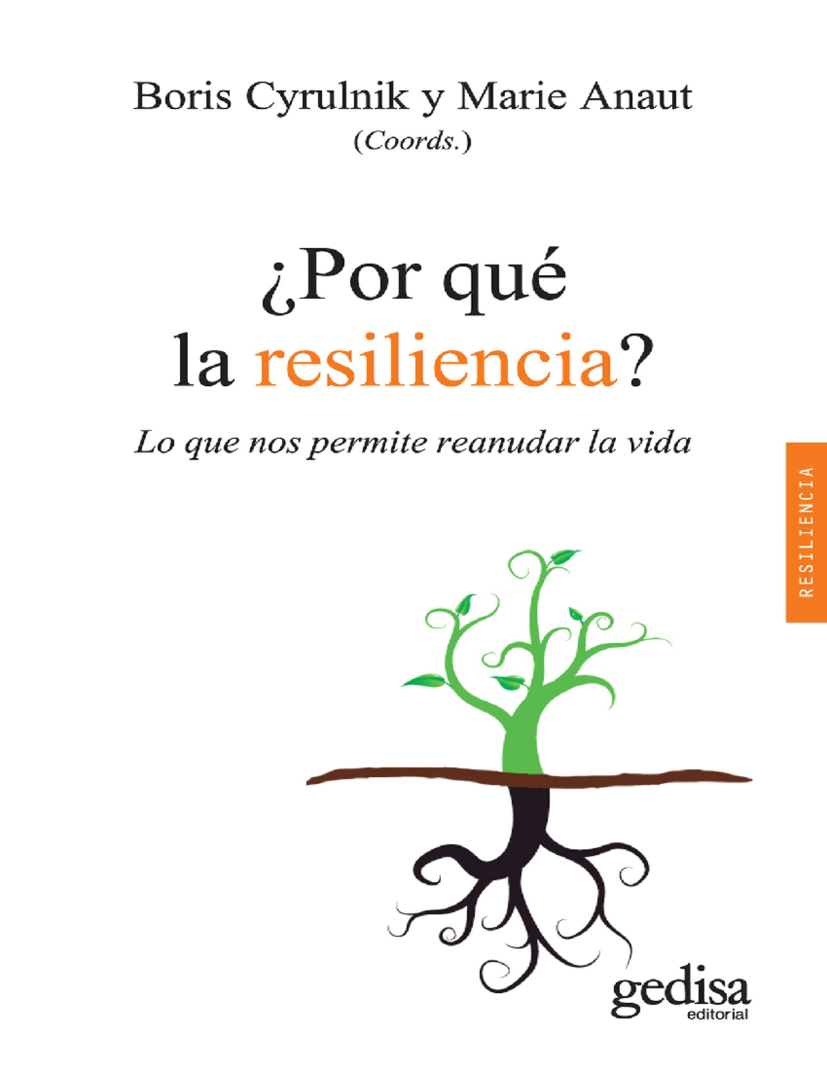 ¿Por-qué-la-resiliencia -Lo-que-nos-permite-reanudar-la-vida-Spanish ...