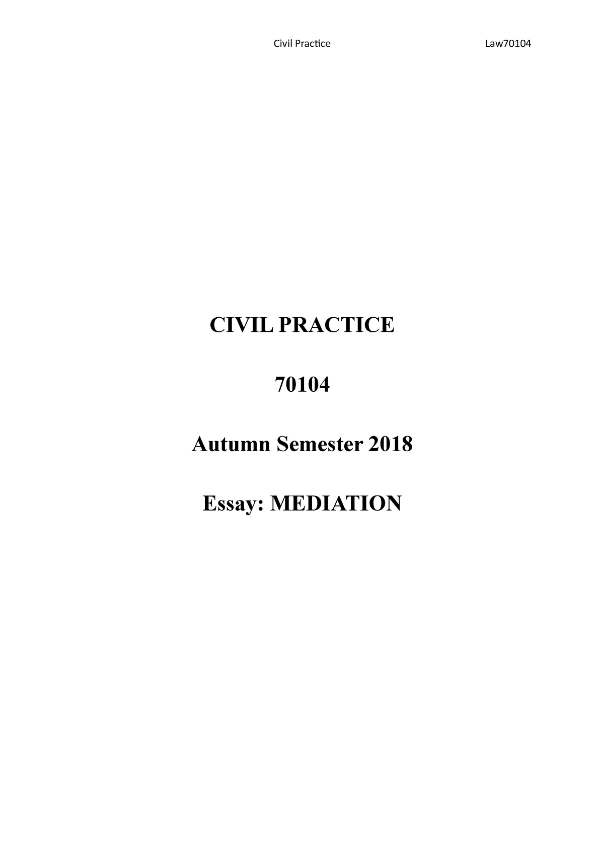 essay about mediation