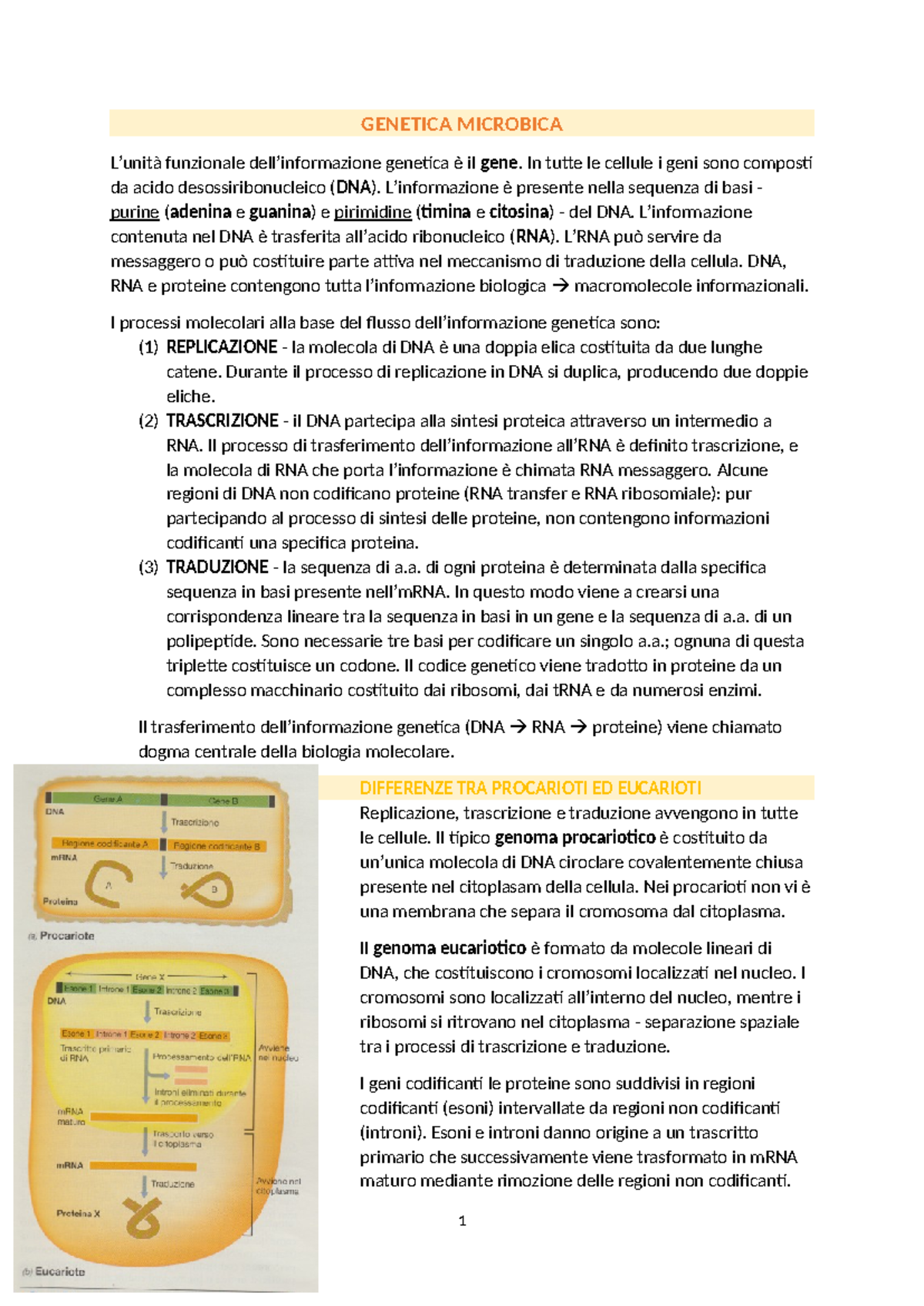 SmartEAR - Fascia Universale - Calcio - S