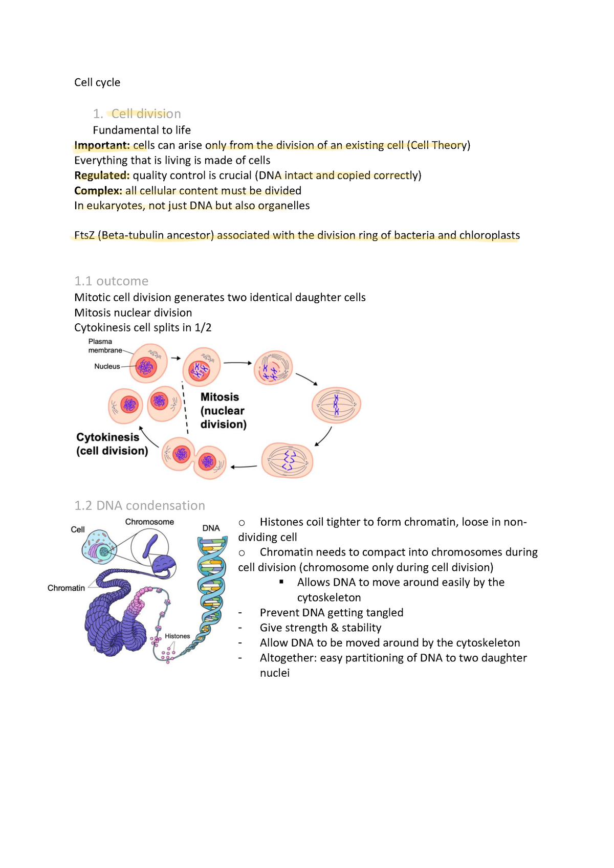 4 Cell cycle - notes - Cell cycle 1. Cell division Fundamental to life ...