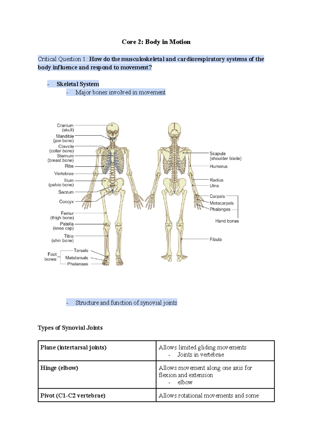 Core 2 - Body in Motion - Core 2: Body in Motion Critical Question 1 ...