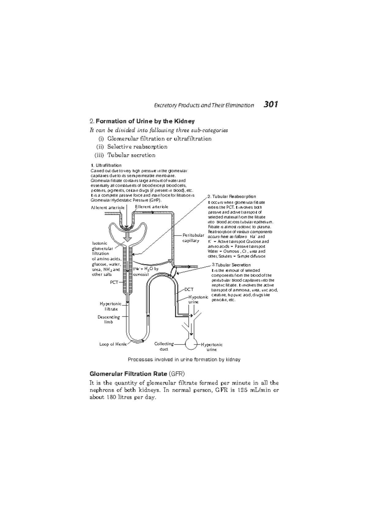 Formation of Urine by the Kidney - 2. Formation of Urine by the Kidney ...