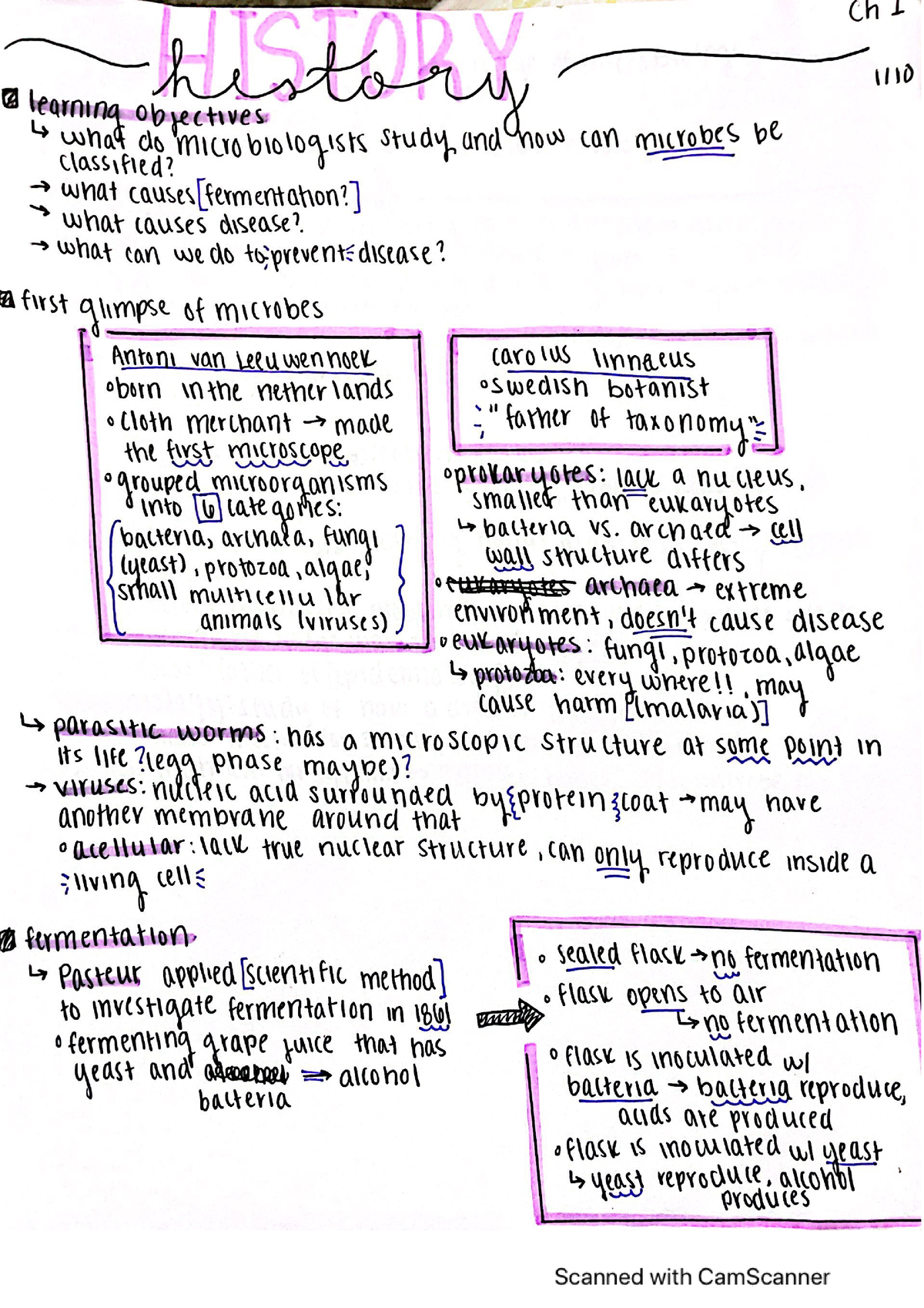 assignment on history of microbiology