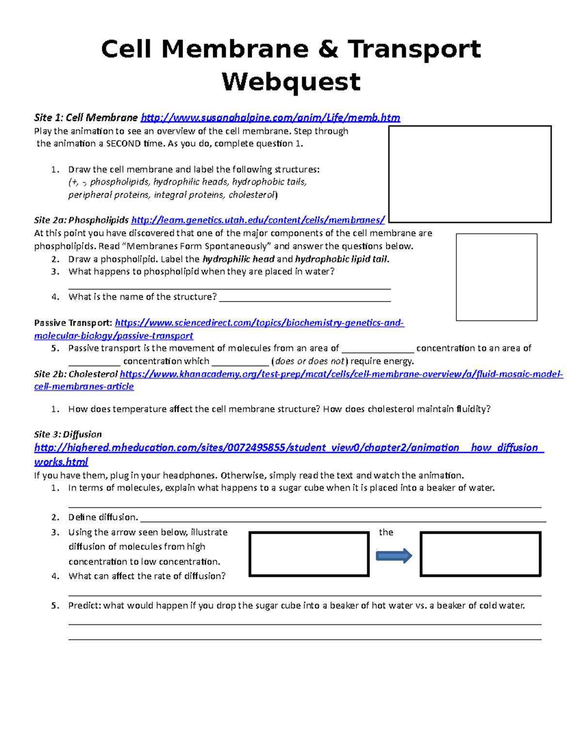 Cell Membrane Webquest Structure And Function Answer Key Pdf