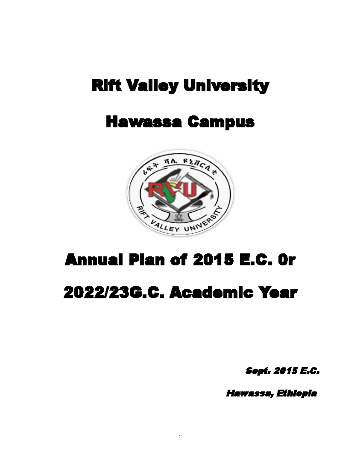 hawassa university business plan